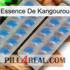 Kangaroo Essence 23